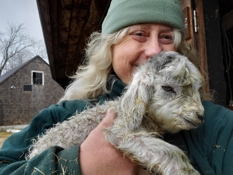 Janet Beardsley - Maine Fibershed crew