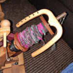 Daylilly B True Angoras