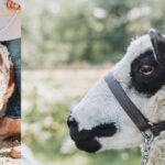 Ingendahl Acres, LLC.