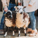 Ingendahl Acres, LLC.