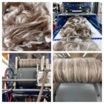 Stacey’s Spinning Haven