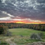 Regenerative Grazing