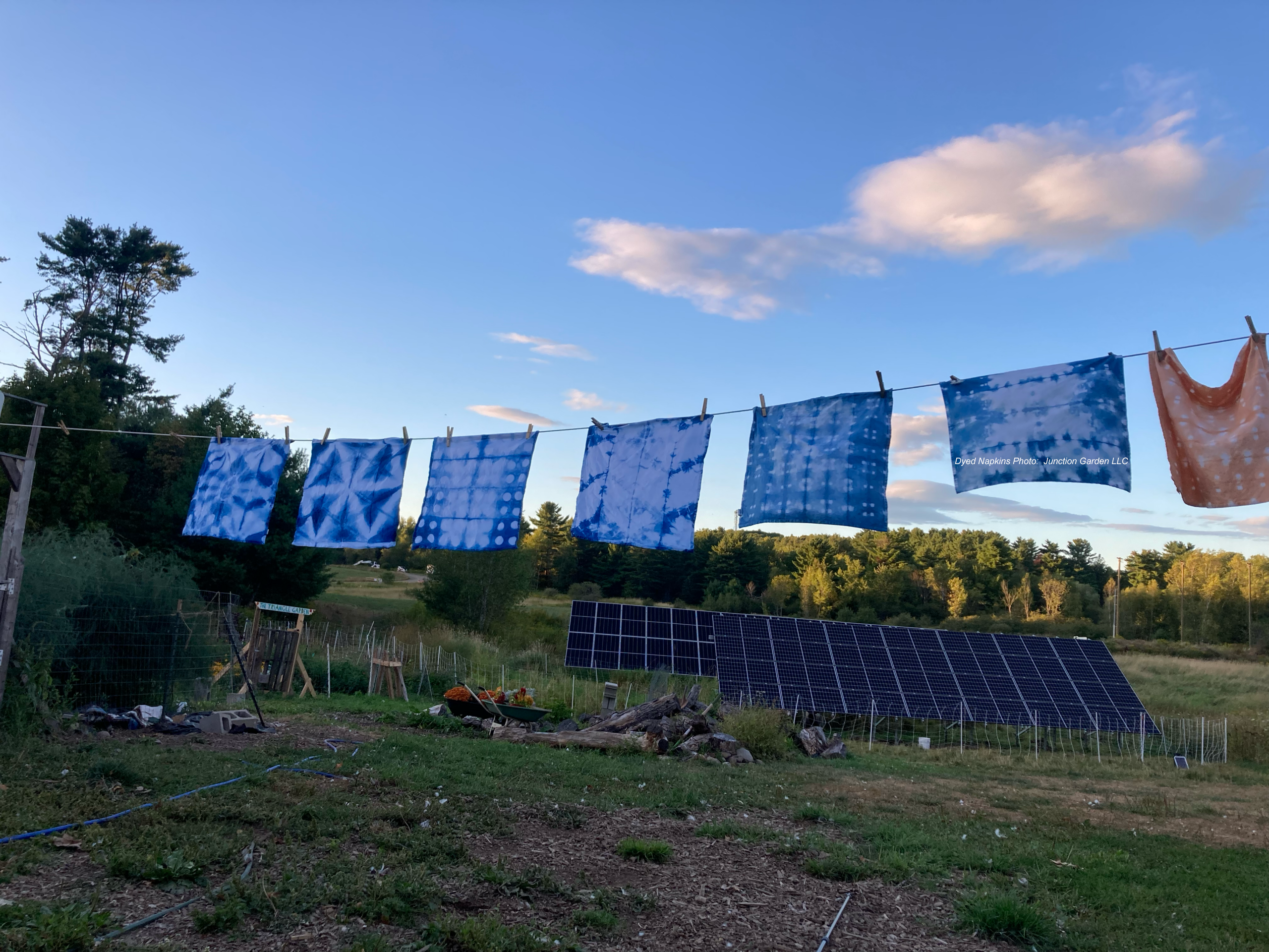 dyed napkins on line